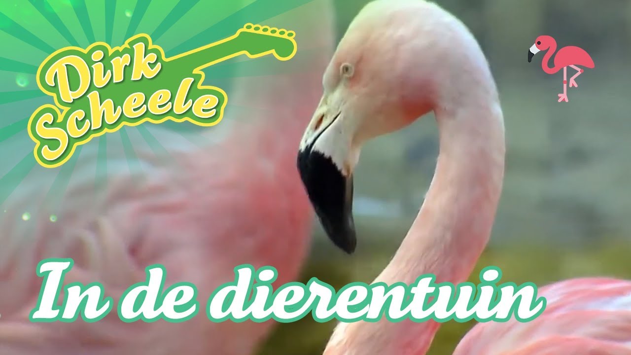 Zing mee met Dirk Scheele - In de dierentuin | Op stap met Dirk Scheele