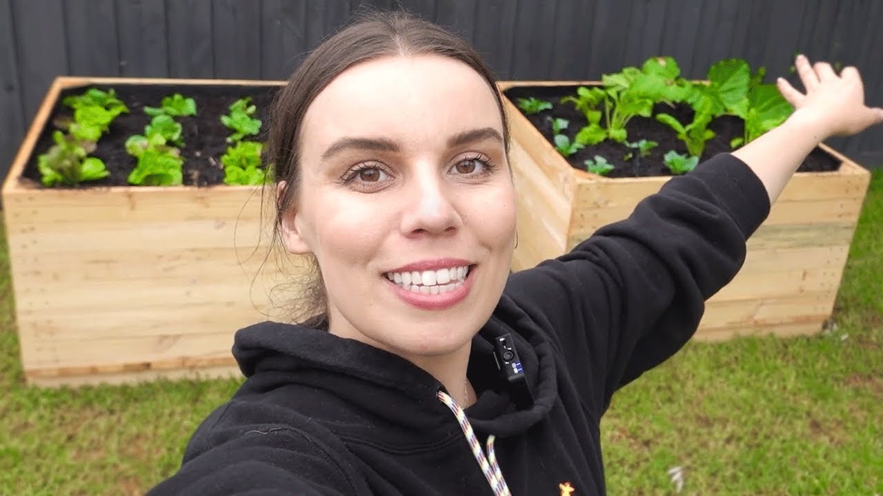 I planted my own vegetables 🪴 Making my house into a home 🏡