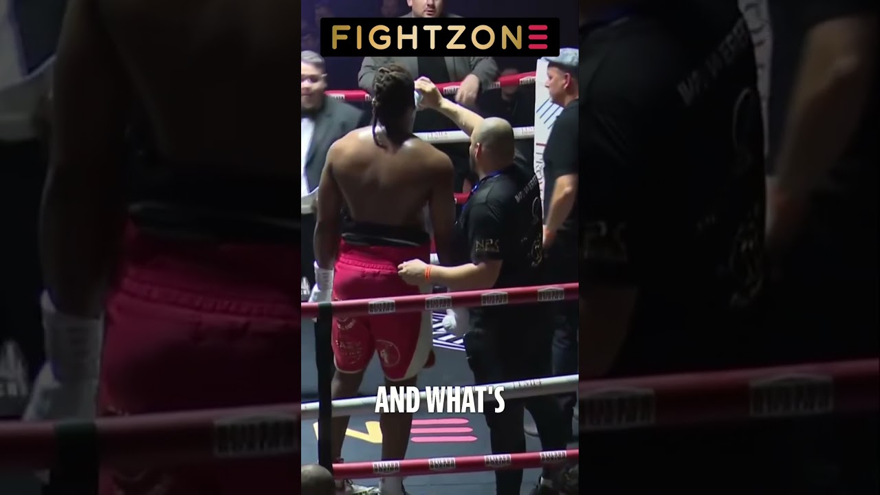 Impressive Temperament: Live Ringside Experience with Promising Boxer
