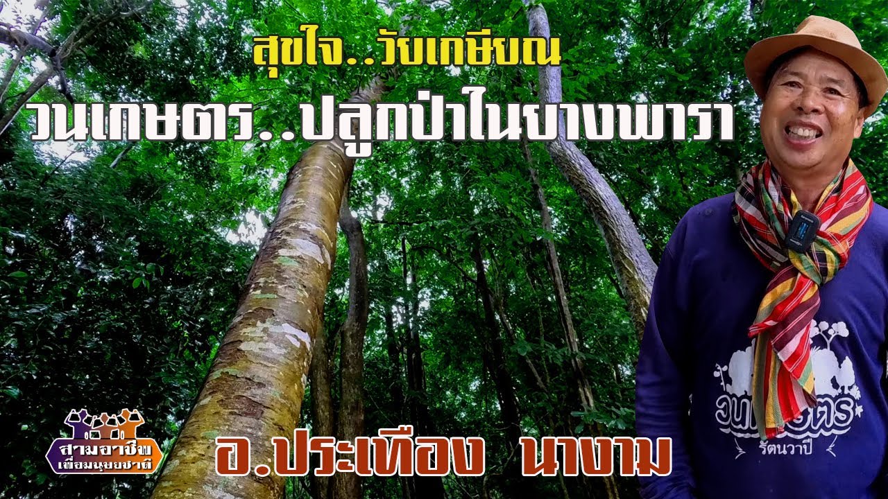 สุขใจ..วัยเกษียณ 