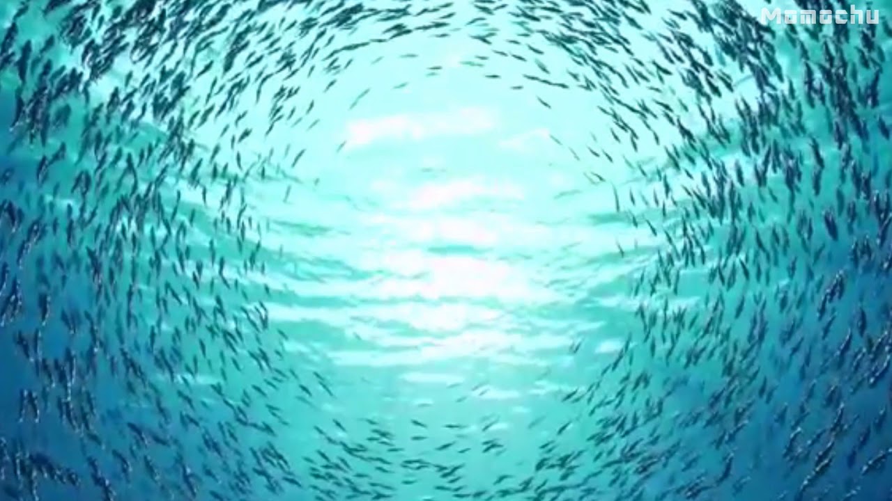 【白噪音】