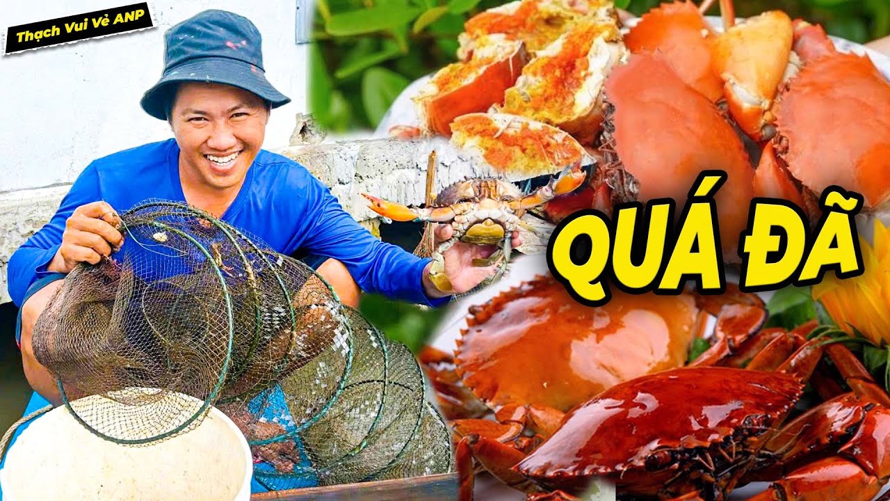 Đặt Lú Mé Kênh Bắt Được Cua Siêu To, Thật Không Thể Ngờ - Thạch Vui Vẻ ANP