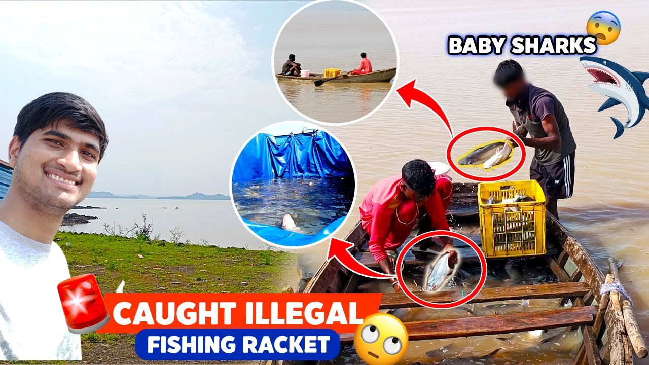 Boat Se Seedha Truck Tak 😱🚨 | Subah-Subah Bargi Dam Ghoomne Aa Gaye 🌅🎣(Vlog 76) #bargidam #jabalpur