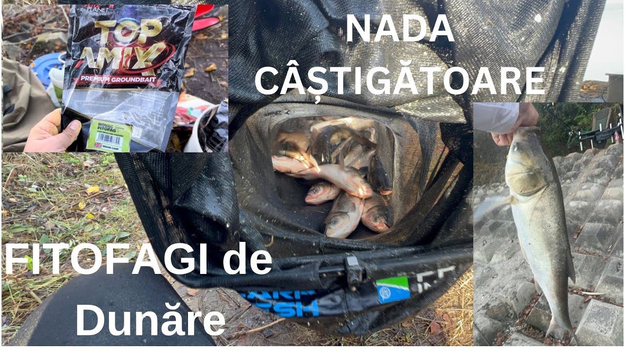 NADA cu rezultate EXTRAORDINARE la FITOFAG si NOVAC. Pescuit pe Dunăre cu Gabi și “Gicu”😂