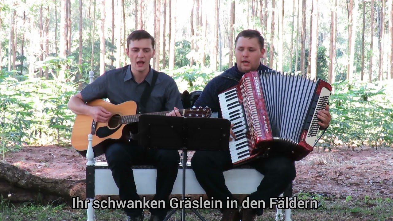 O dass ich tausend Zungen hätte