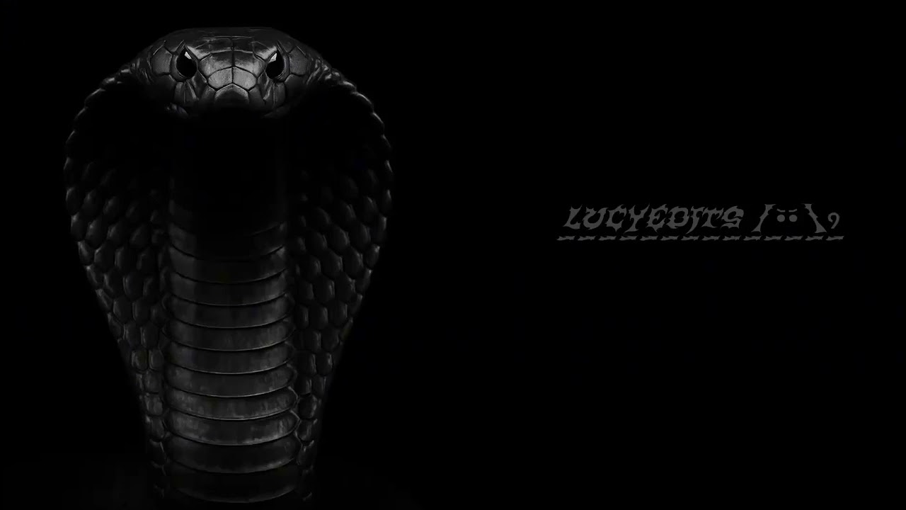 Powerful/Dark/cold edit audios bc everyone knows ur name.+TIMESTAMPS ||LucyEdits||