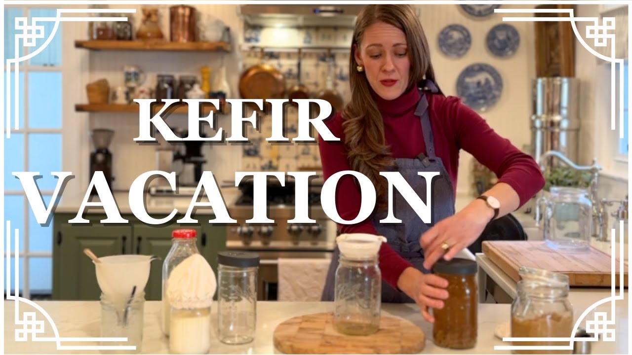 How to Take a BREAK from Your KEFIR GRAINS | What to Do With Your KEFIR Grains When You Need a Break