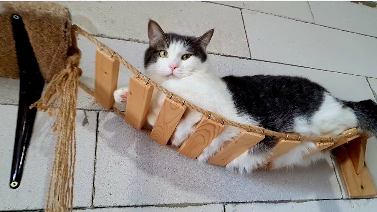 Наші пухнасті, все таки знайшли спосіб подряпати диван 🛋️🐈‍⬛🐈