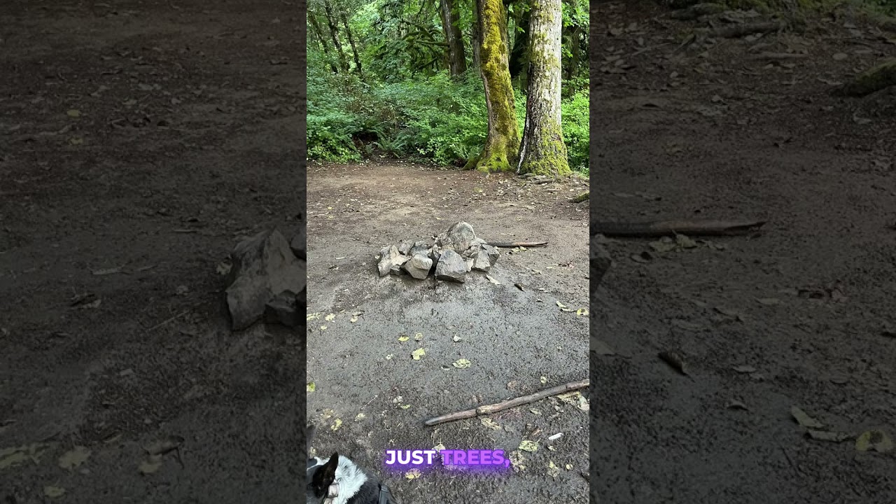 Free Camping at Hult Pond | Oregon Vanlife