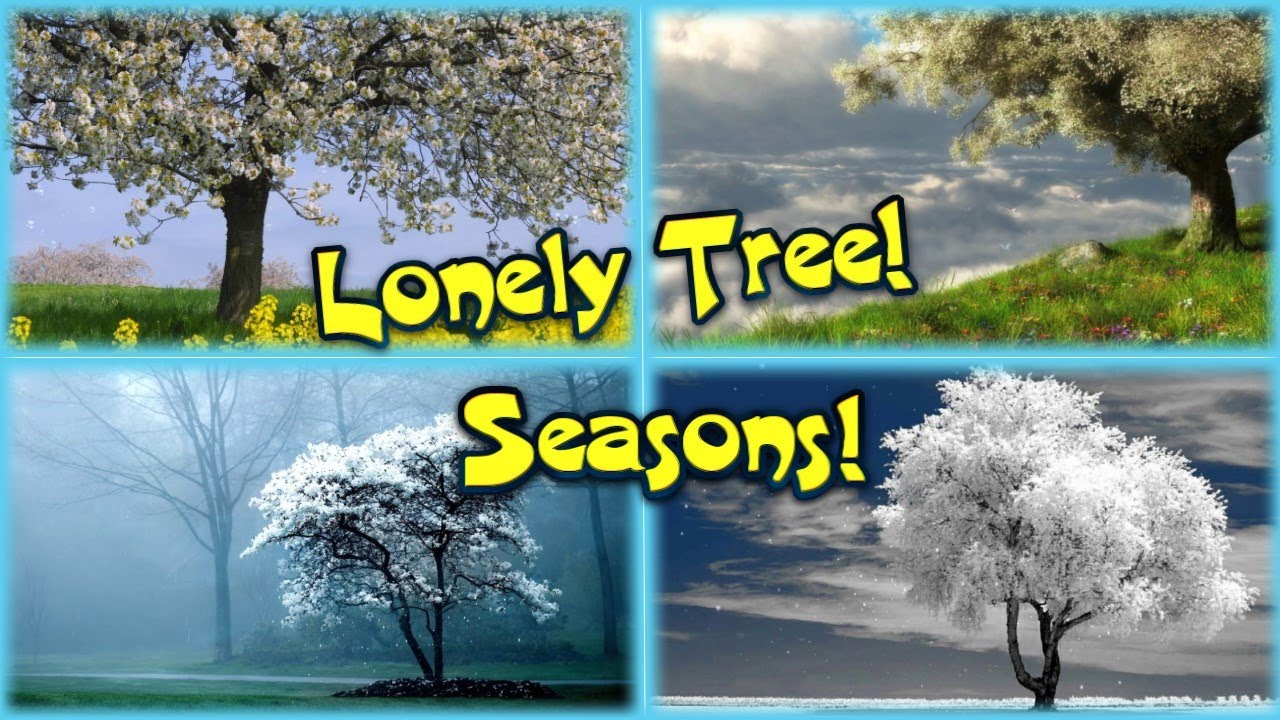 Wallpaper Engine. Lonely Tree! Seasons!