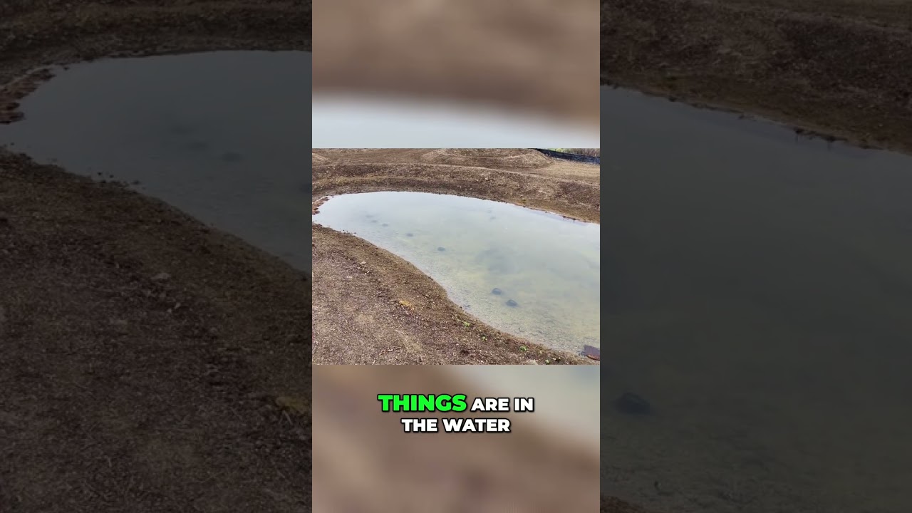 Drone Spots Mystery Pond Objects! What Are They? #shorts