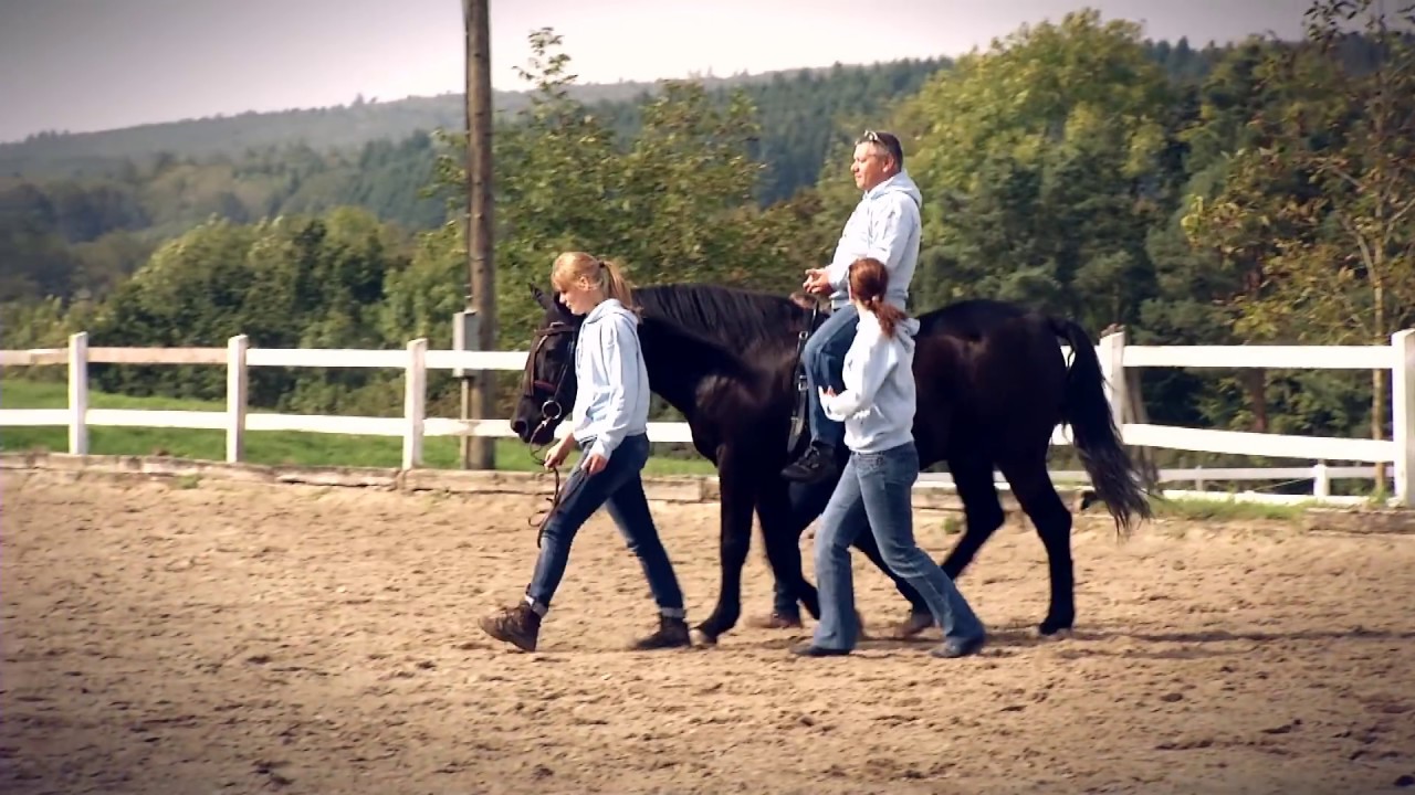 Ausbildung zur Reittherapeutin beim Lehrinstitut igogo