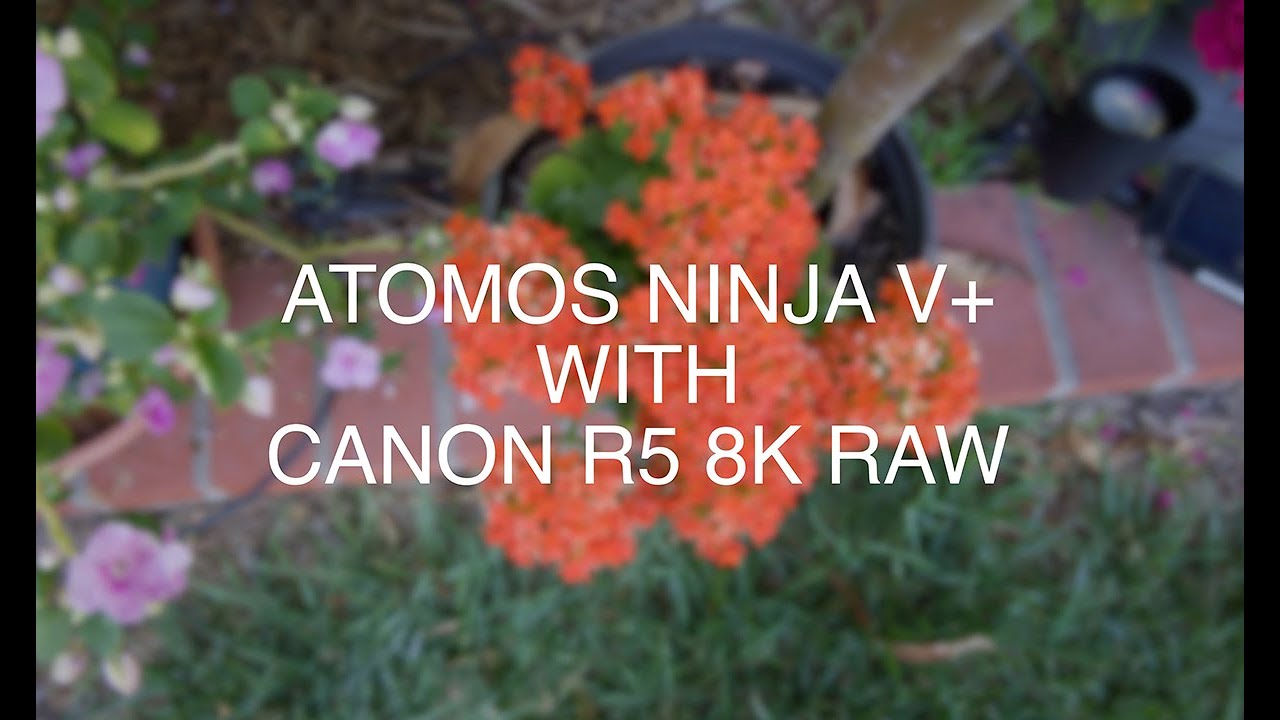 Canon R5 with NInja V+ ProRes 8K Raw Sample_V1