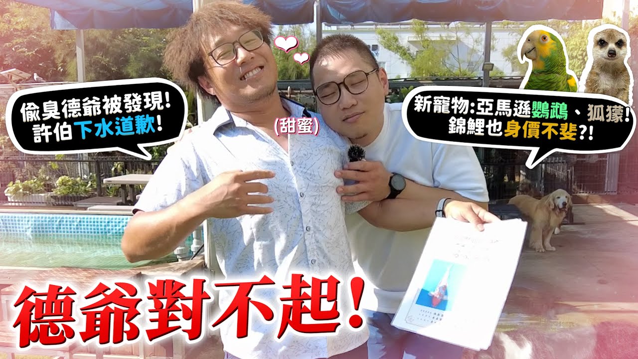 德爺對不起!!許伯偷臭德爺被發現!許伯下水道歉!德爺家的新寵物:亞馬遜鸚鵡!狐獴!德爺原來有錦鯉冠軍?開箱狐獴豪宅!【許伯簡芝】