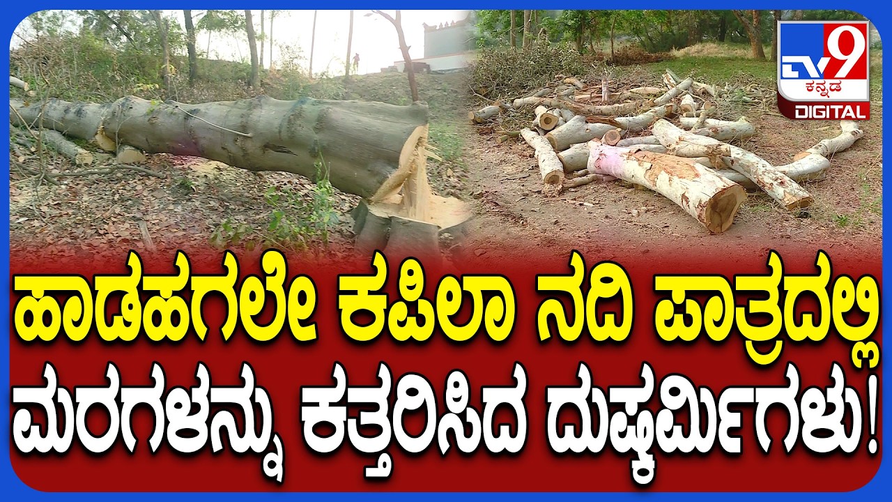 Mysuru: ನಂಜನಗೂಡು ಕಪಿಲಾ ನದಿ ಪಾತ್ರದಲ್ಲಿ ಹಾಡಹಗಲೇ 10ಕ್ಕೂ ಅಧಿಕ ಮರಗಳನ್ನು ಕತ್ತರಿಸಿರುವ ದುಷ್ಕರ್ಮಿಗಳು | #TV9D