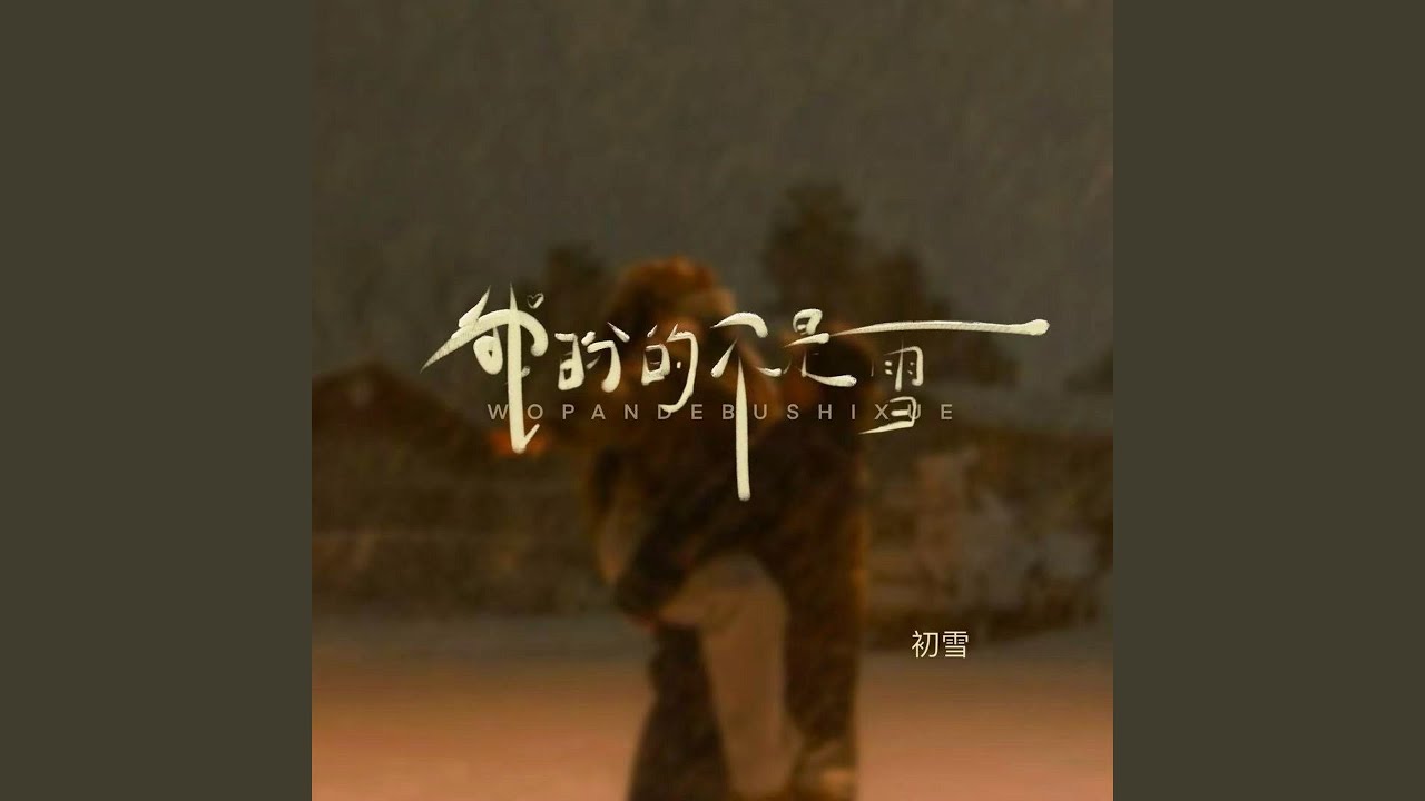 我盼的不是雪