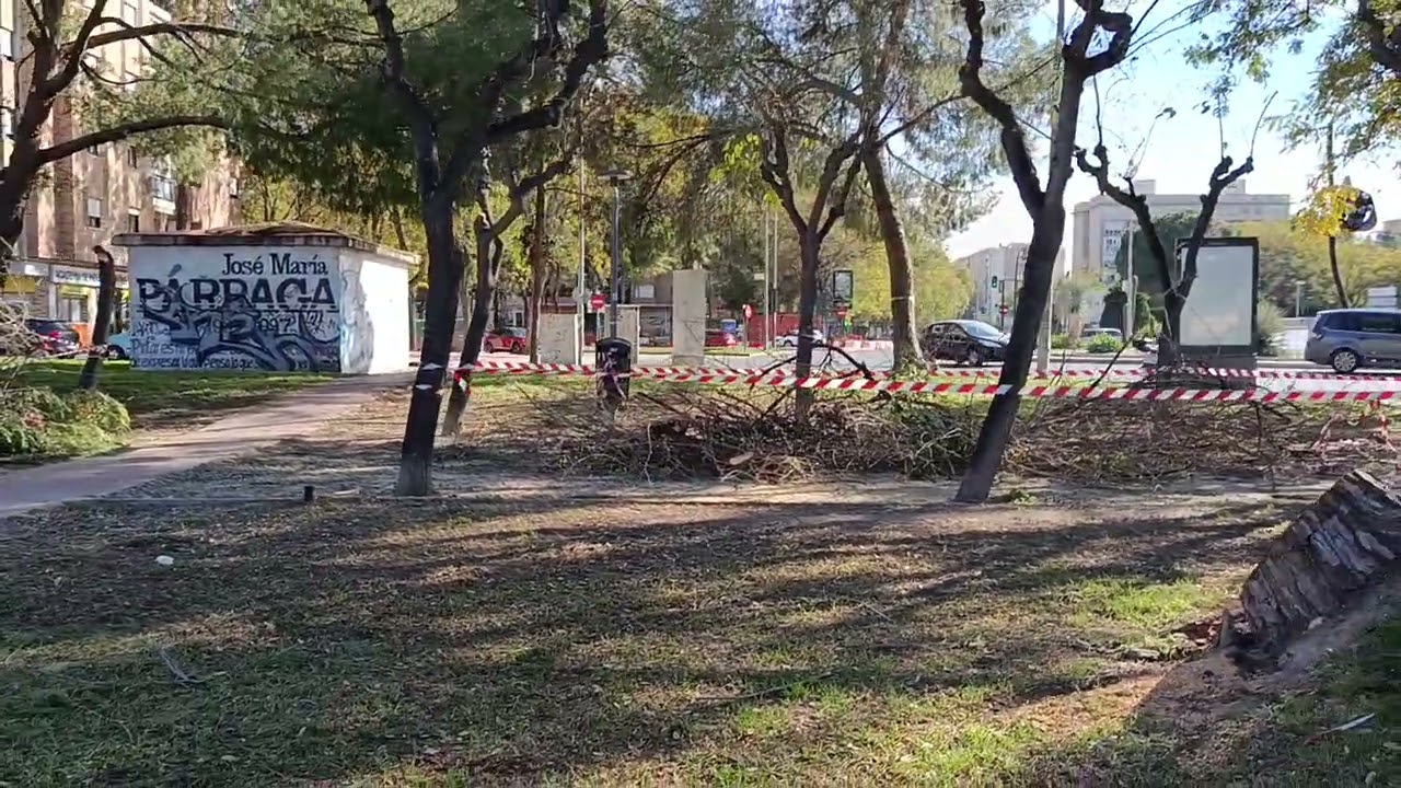 Paco reflexiona sobre sus Pacoestrenos y la buena marcha de su canal debido al éxito de sus reels 