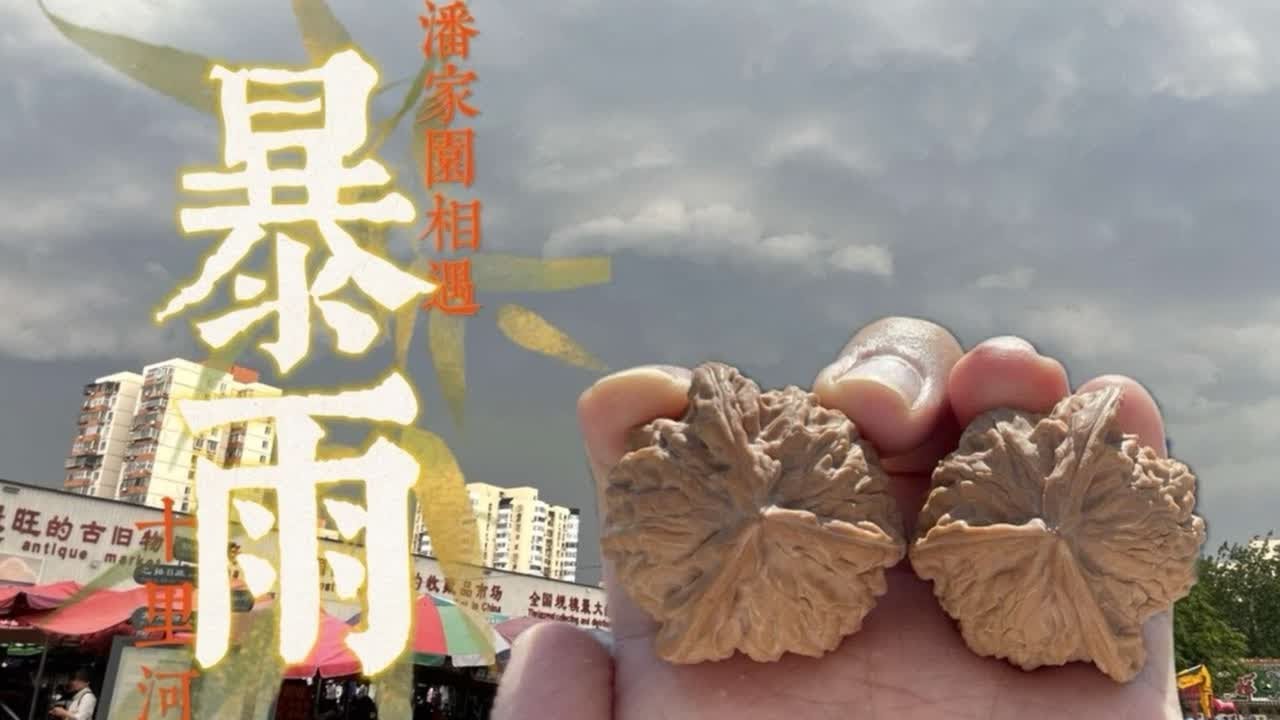 当暴雨与潘家园相遇！！#文玩核桃 #蛤蟆头 #万物皆可盘 #文玩 #有安全感的杨狗蛋儿