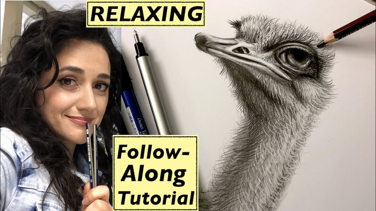 How To Draw an Ostrich Bird ASMR