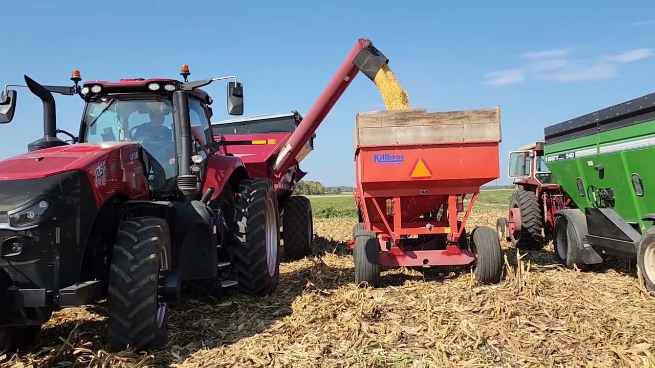 High moisture corn harvest 2023
