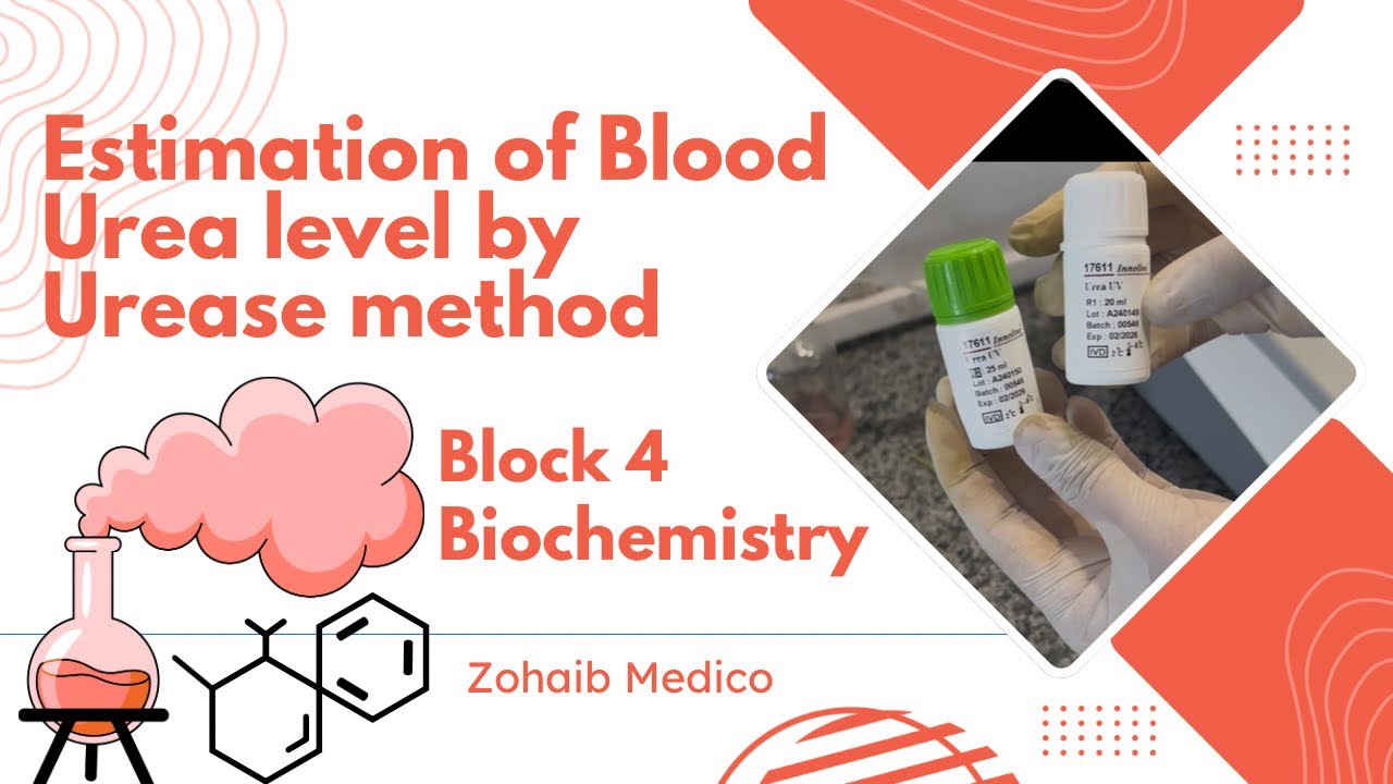 Estimate blood Urea level by Urease method | Biochemistry | OSPE video | Block 4 