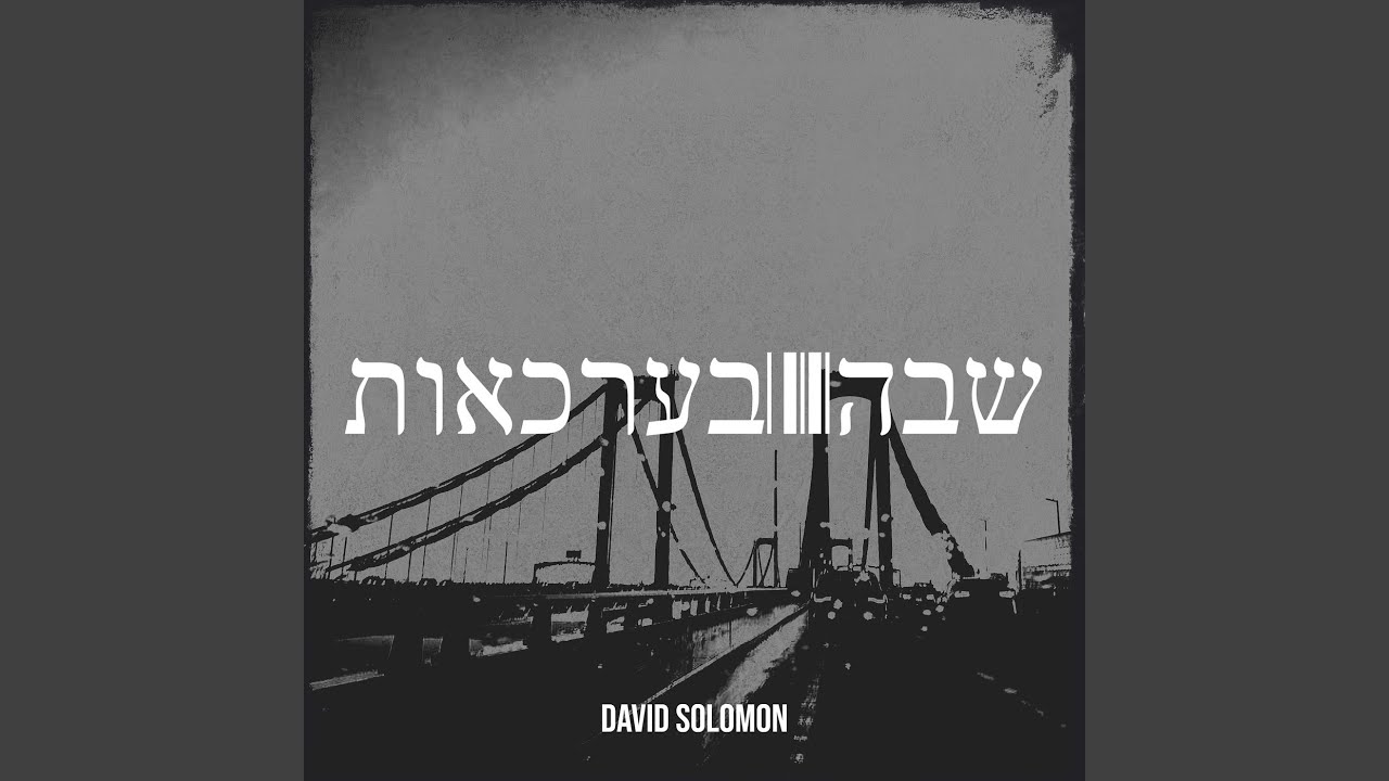 שבה בערכאות