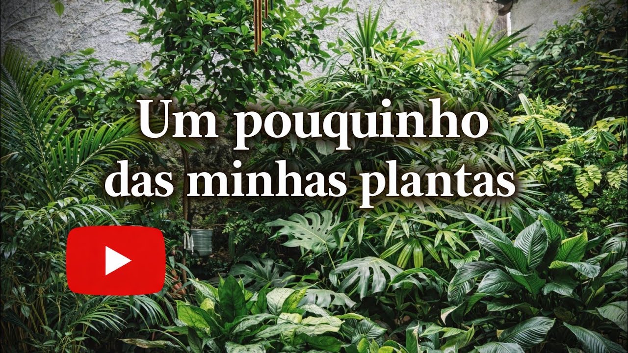 Mostrando um pouquinho das minhas plantas #garden 