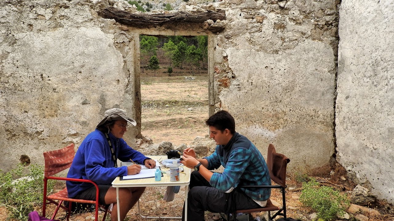 Anillamiento científico de 