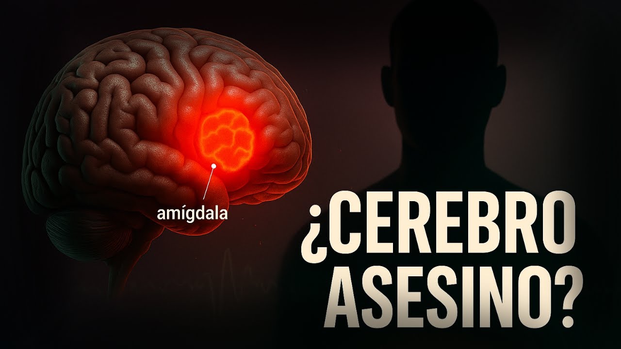 POSEÍDO por su CEREBRO