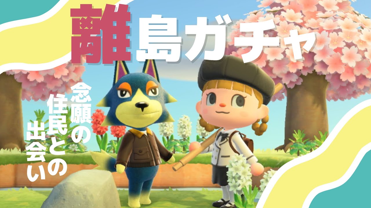 【あつ森】ずっと会いたかった住民に初めて出会った離島ガチャ【ミッチェルを探せ】