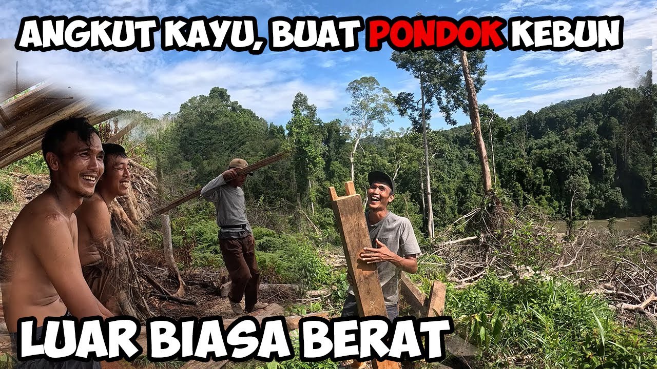 Angkat Kayu Untuk Pondok Kebun Bersama @PakCinut