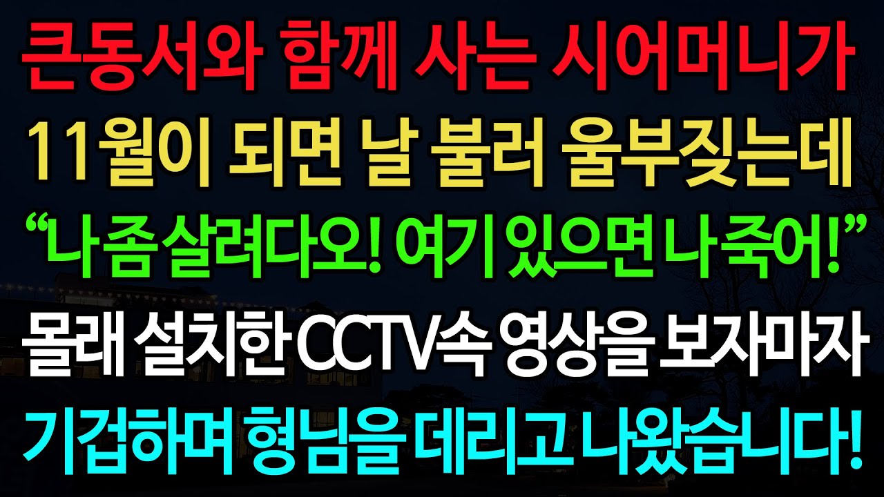 실화사연-큰동서와 함께 사는 시어머니가 11월이 되면 날 불러 울부짖는데 “나 좀 살려다오! 여기 있으면 나 죽어!” CCTV속 영상을 보자마자 기겁하며 형님을 데리고 나왔습니다!