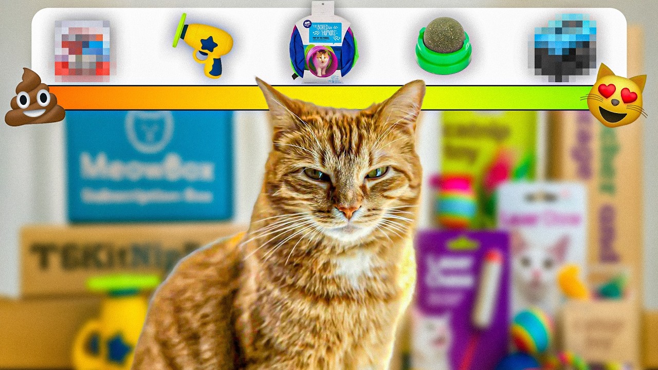 Kurt&rsquo;s Top 10 Cat Toys of All Time