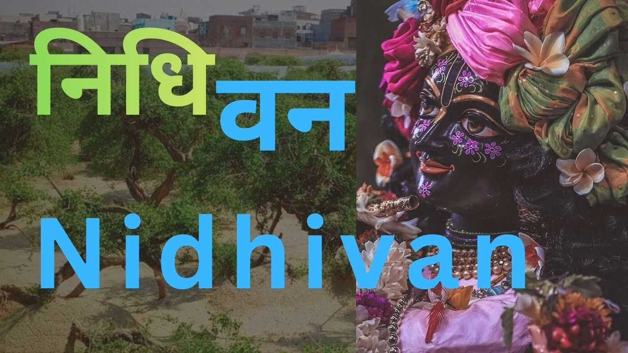    एक तमन्ना है जीवन की निधिवन रात बिताऊं | Krishna Bhajan | Nidhivan video 