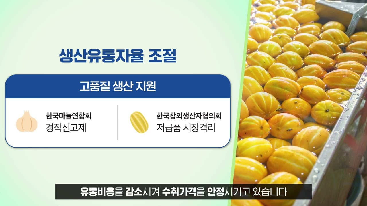 자조금 홍보 영상