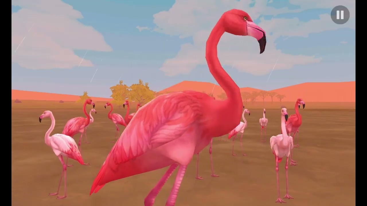 WildCraft – What Animals Do During the Rainy Season in the Savanna Lakes