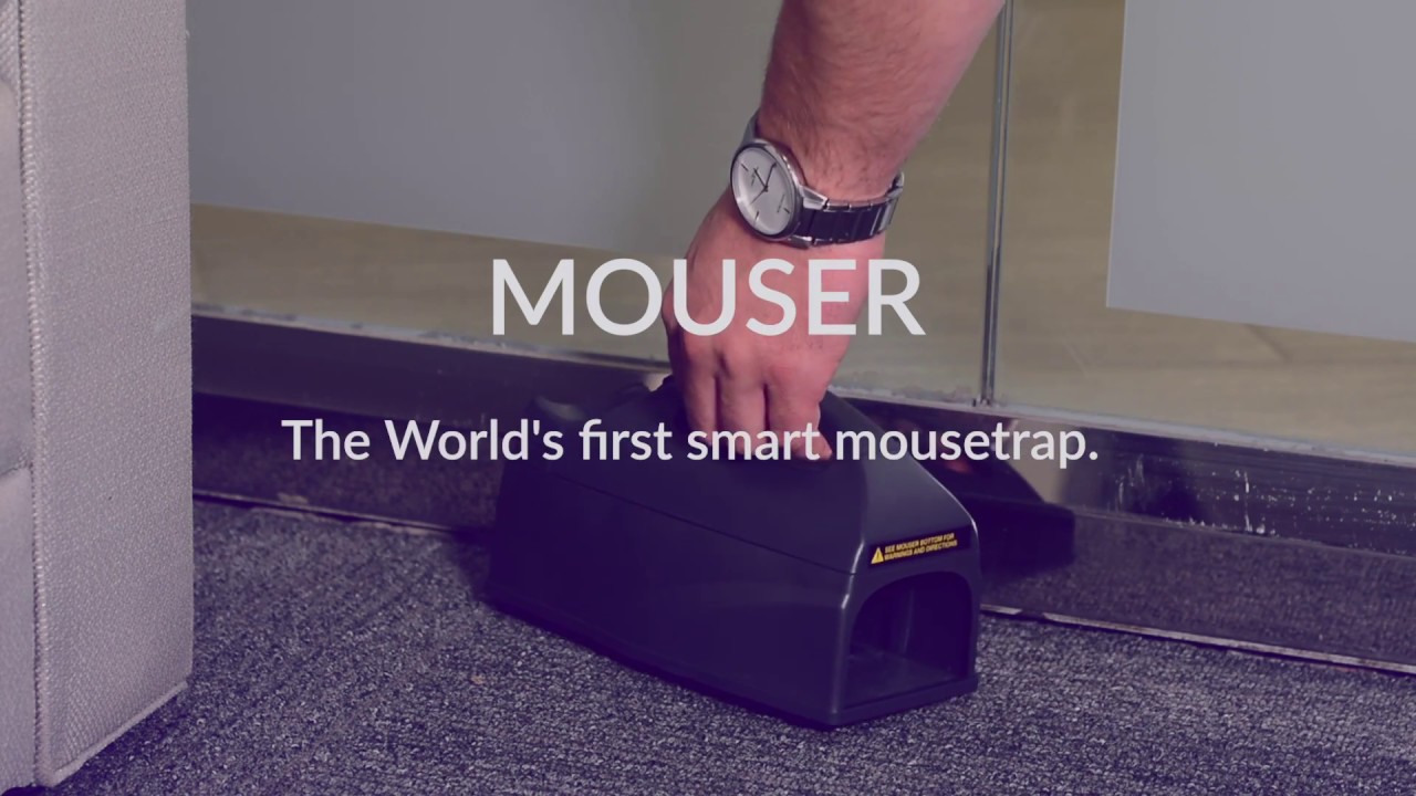 Dome: Meet Mouser