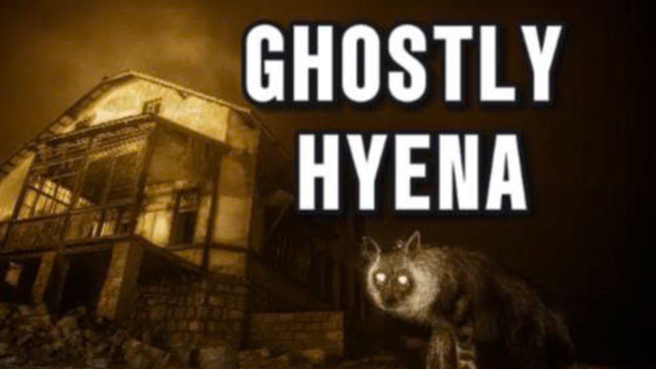 Why this ghostly hyena portrait is the best wildlife photo of 2025
