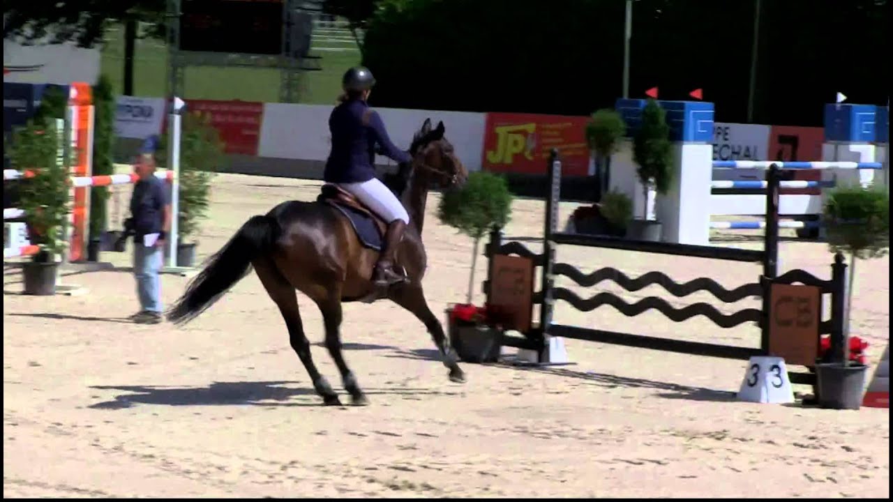 Scherz Anastasia RHAPSODIE DU COURTIL CH &eacute;p 6a RN115 Crete 20141