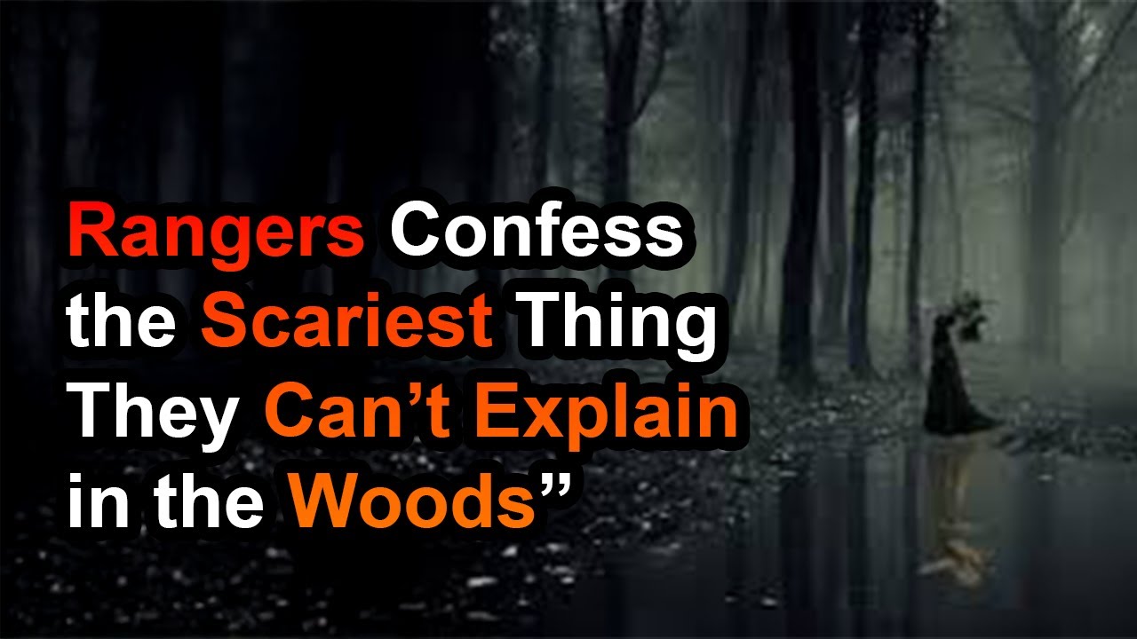 Rangers Confess the Scariest Thing They Can’t Explain in the Woods