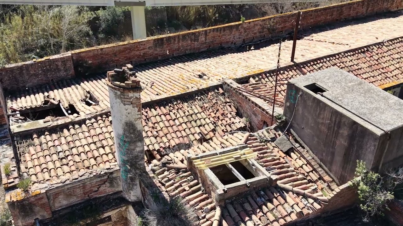 Tejado, 22 febrero 2026