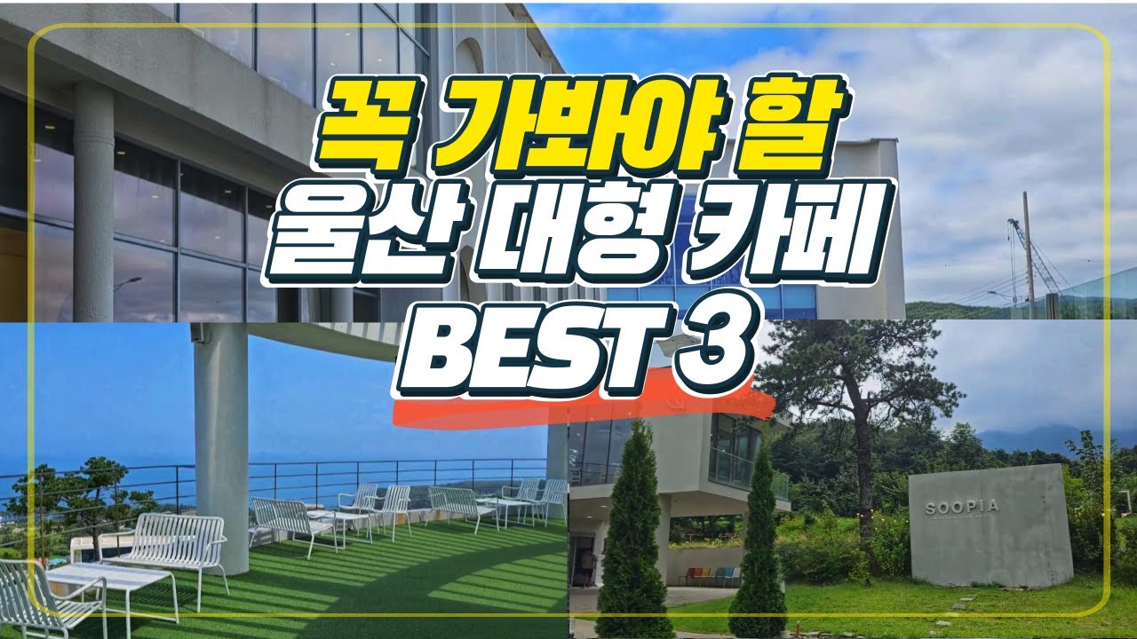 울산여행 가면 꼭 가봐야할 울산 대형카페 BEST 3 ｜울산카페, 부산근교카페