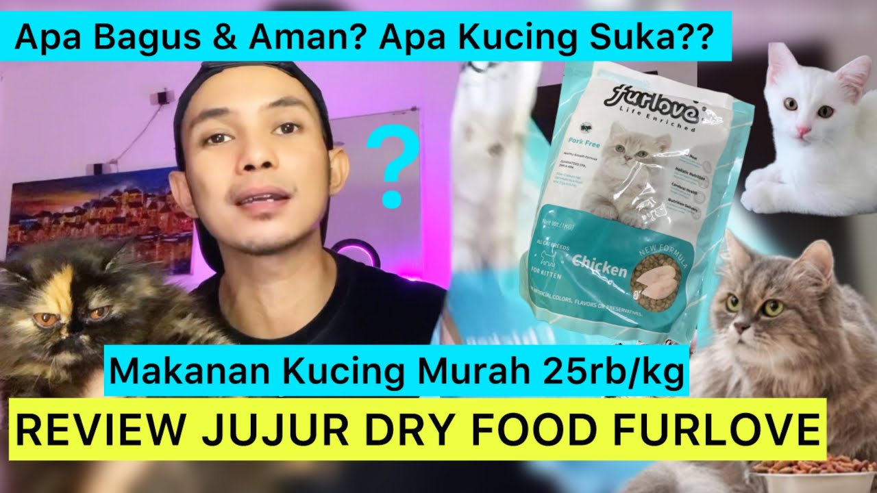 REVIEW FURLOVE MAKANAN KUCING MURAH - dry food furlove review jujur konsumen | Review Makanan Kucing