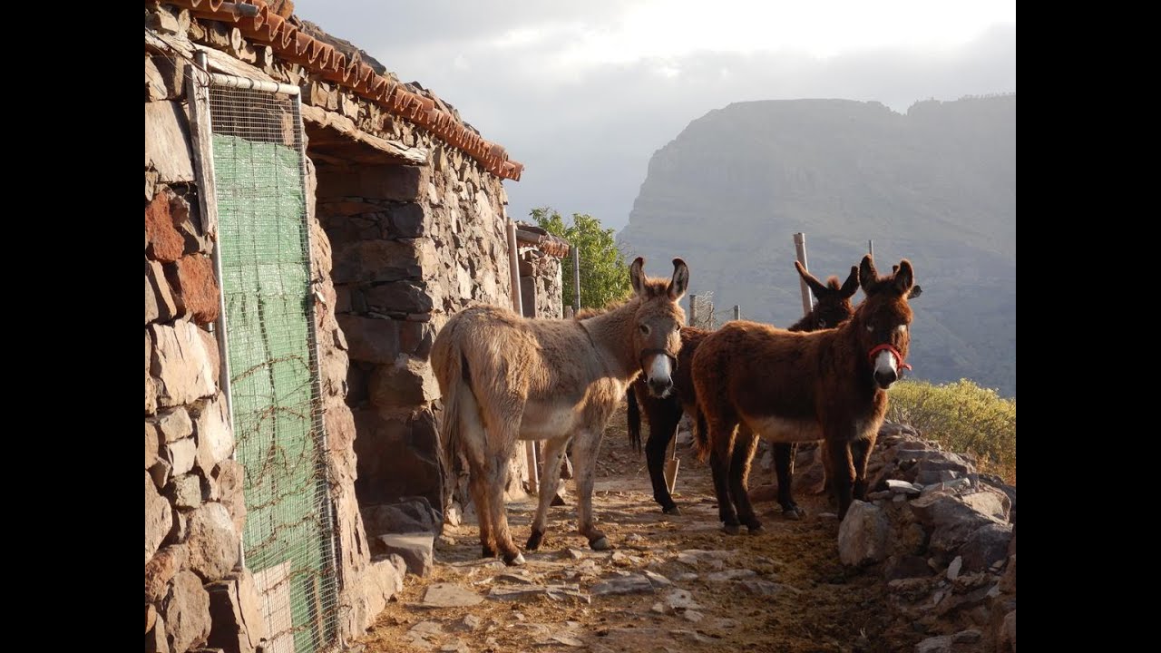Ruta Familia Filon Por senderos de Tirma