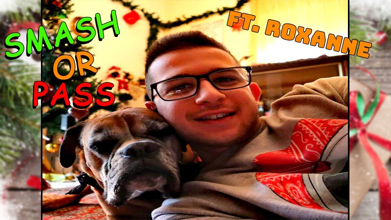 FAMOUS YOUTUBER SMASH OR PASS WITH MY BOXER DOG (Roxanne) **Funny**