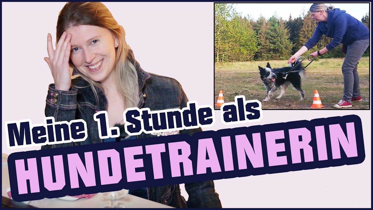 🐶Erste Stunde als Hundetrainer? Wie war es? [Erfahrungsbericht + 4 praktische Übungen💡]