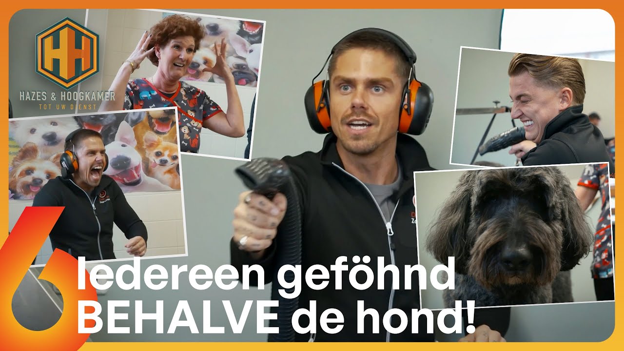 Mannen zetten de BOEL OP STELTEN in HONDENSALON! 😂 | Hazes & Hoogkamer: tot uw dienst