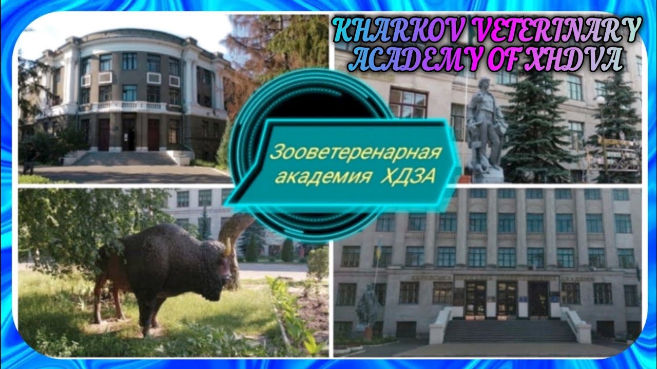 Kharkiv Veterinary Academy of KHDVA.Харьков Зооветеренарная Академия ХДЗА