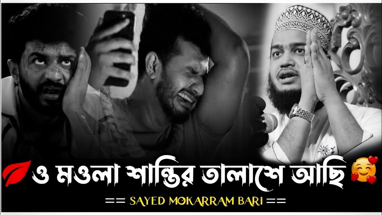 ও মওলা শান্তির তালাশে আছি।সৈয়দ মোকাররম বারী। new waz video sayed mokarram bari। 
