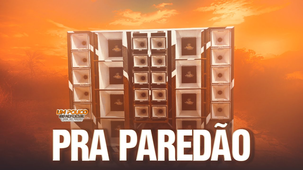 ROBERTINHO NA PISADA - REPERTÓRIO NOVO - MÉDIOS TOPADOS - PRA PAREDÃO